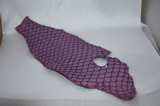 Hovedbilde karpeskinn